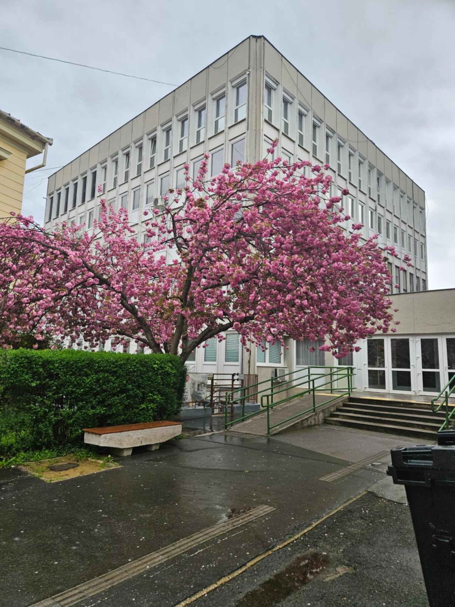 Hellowine Apartman II Eger Exterior foto